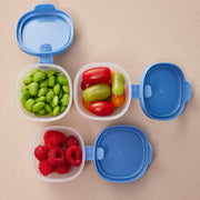 Snack Tubs - ocean