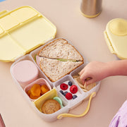 Snack Tubs - berry