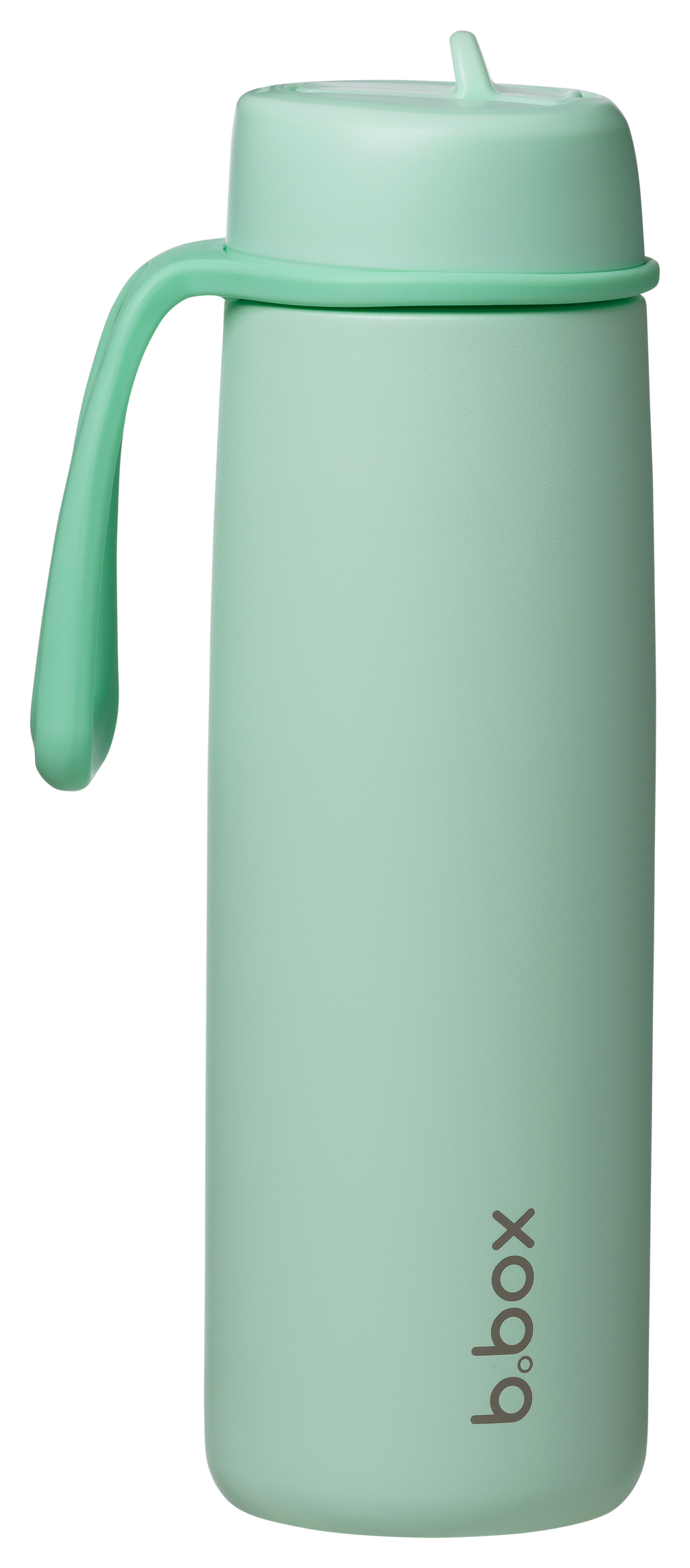 690 ml geïsoleerde fles met Flip-Top - groene munt