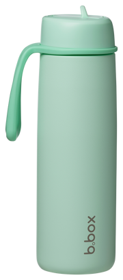 690 ml geïsoleerde fles met Flip-Top - groene munt