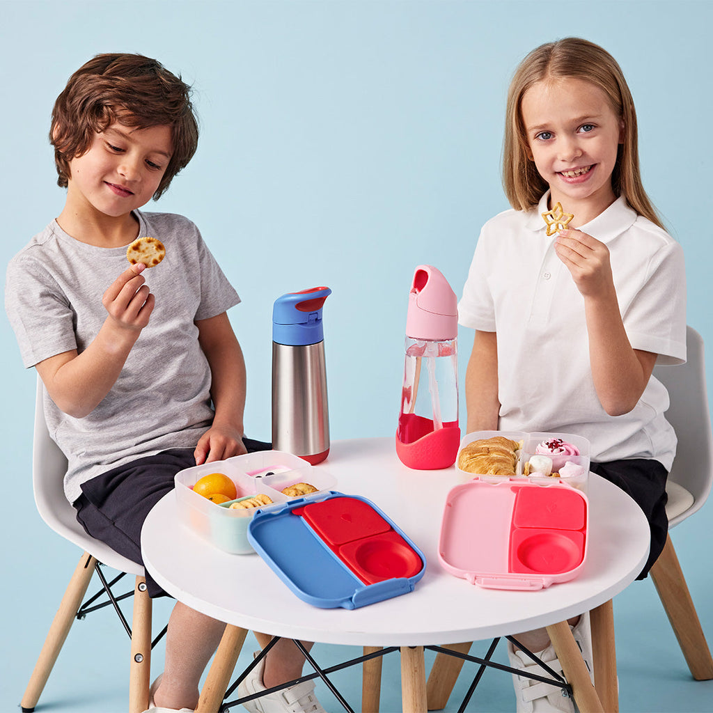 mini lunchbox - flamingo fizz