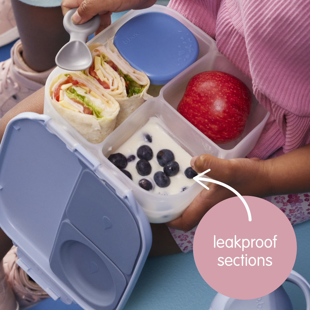 mini lunchbox - blush crush