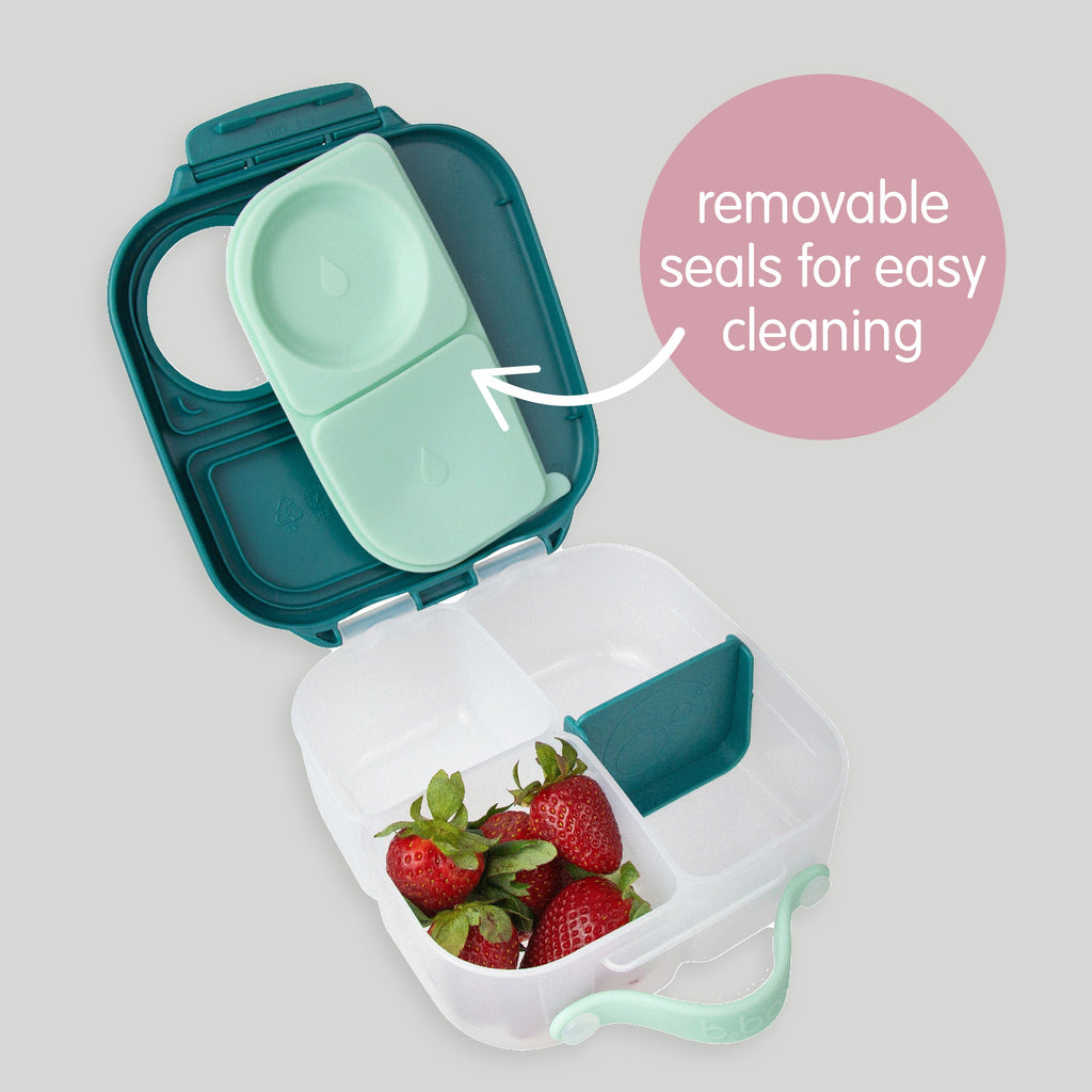 mini lunchbox - blush crush
