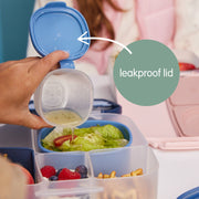 Snack Tubs - berry