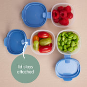 Snack Tubs - berry