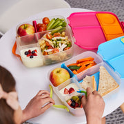 *new* lunchbox - indigo rose - b.box for kids